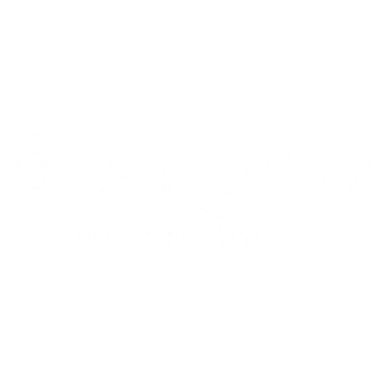 Zaatar & Zayn logo