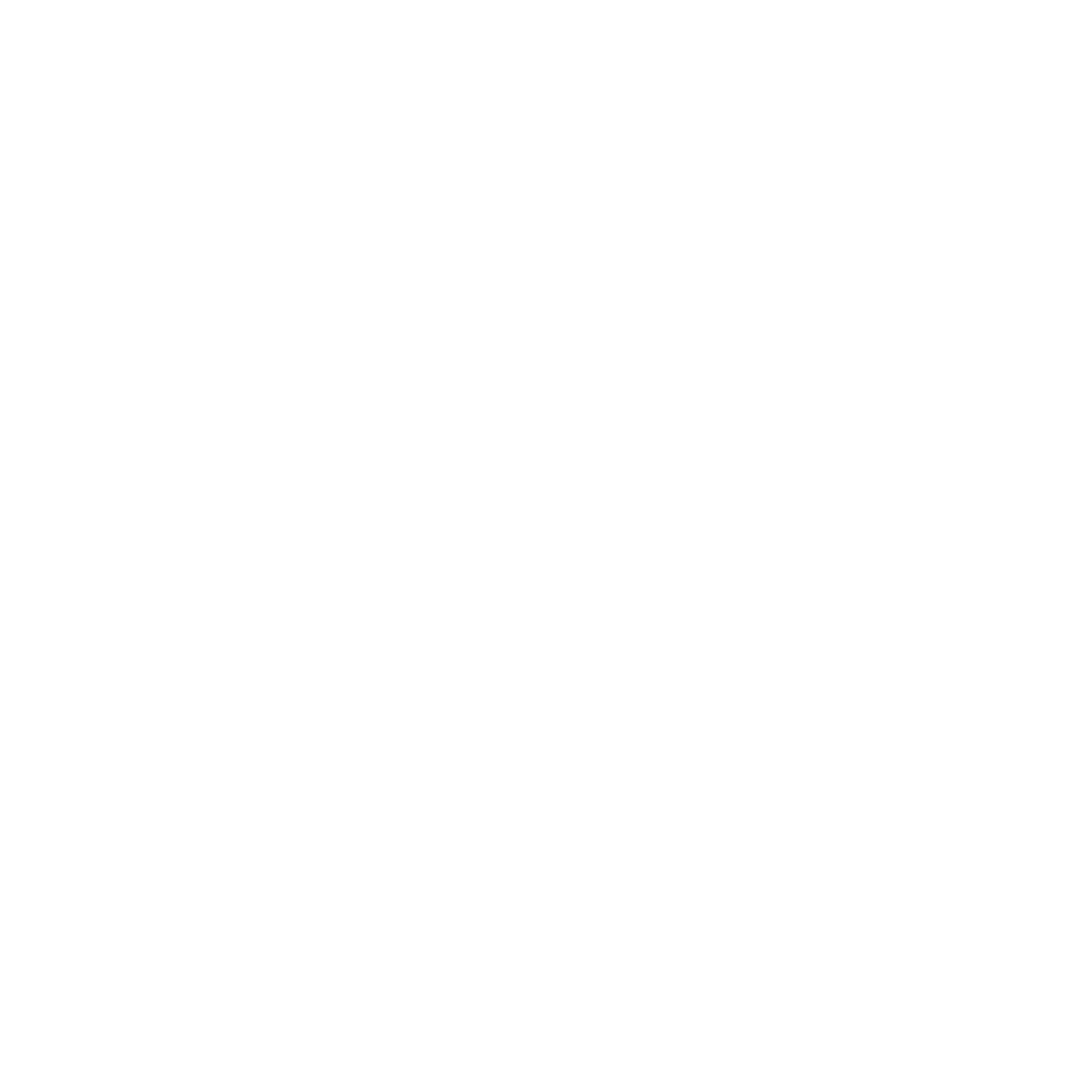 Nokaly Designs logo