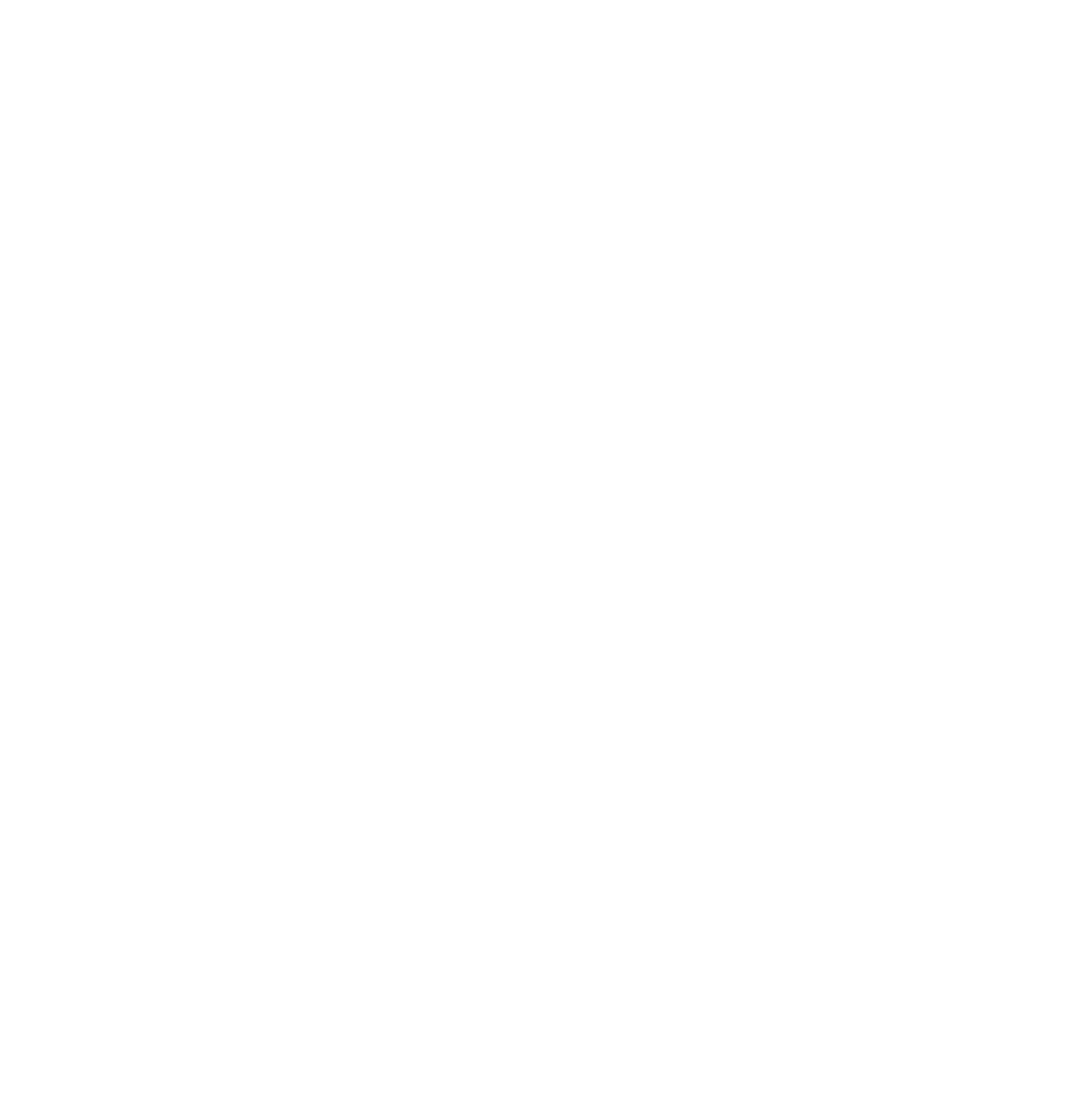 Ayadi International Plastic Industries logo