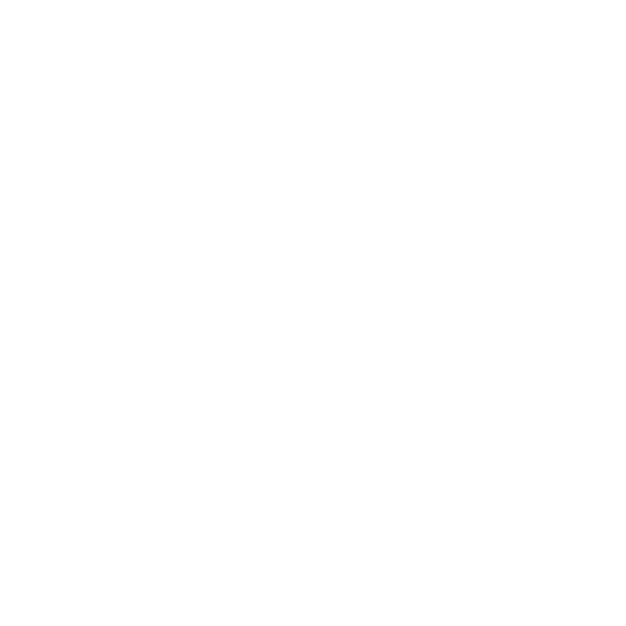 Nino Store logo