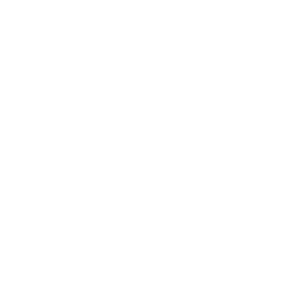 Wise Academy logo